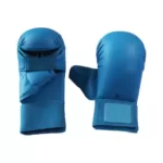 karate-gloves-500x500