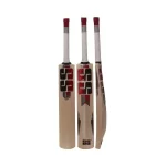 SS Gutsy Cricket bat