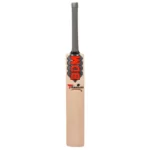 BDM Titanium Cricket Bat