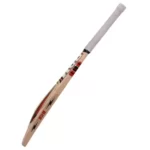 bdm-dyna-drive-cricket-bat-500x500 (2)